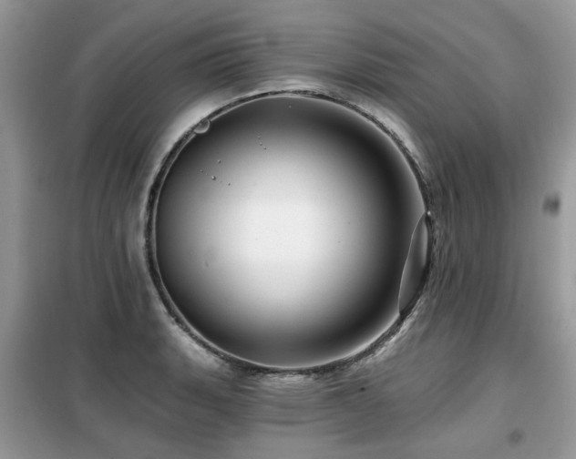 X0000099451135200805091500