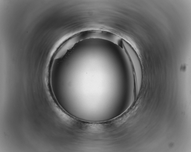 X0000099451136200805091500