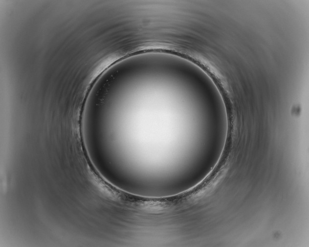 X0000099451137200805091500