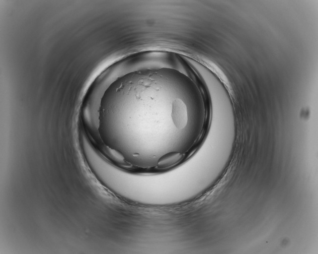 X0000099451138200805091500