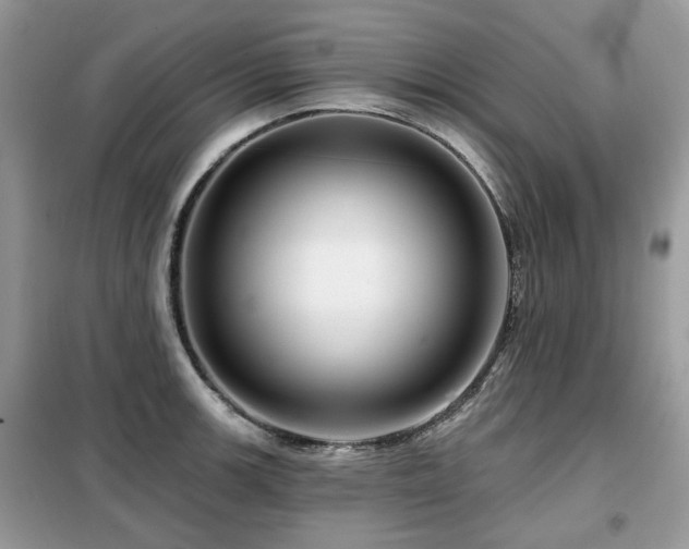 X0000099451139200805091500