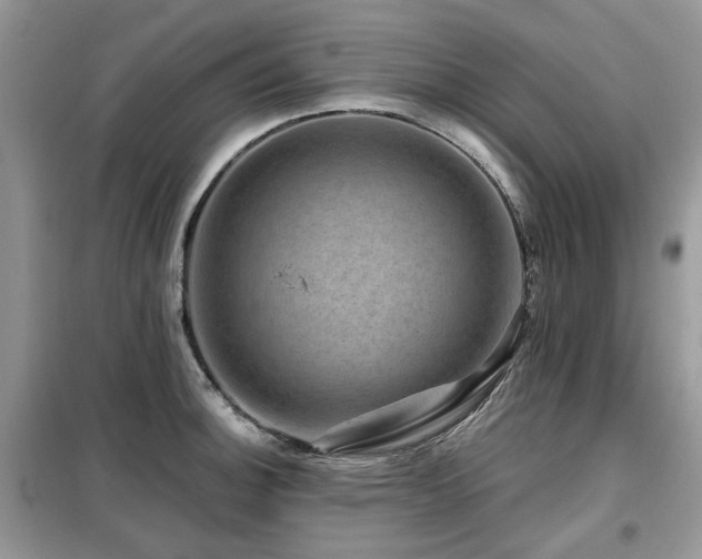 X0000099451140200805091500