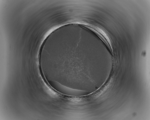 X0000099451141200805091500