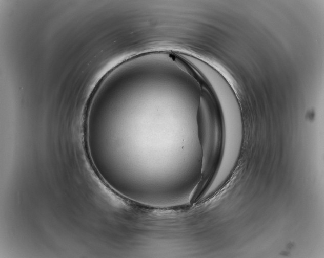 X0000099451142200805091500
