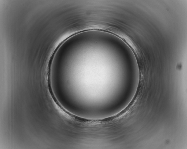 X0000099451143200805091500