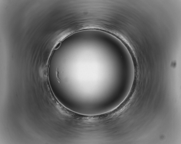 X0000099451145200805091500