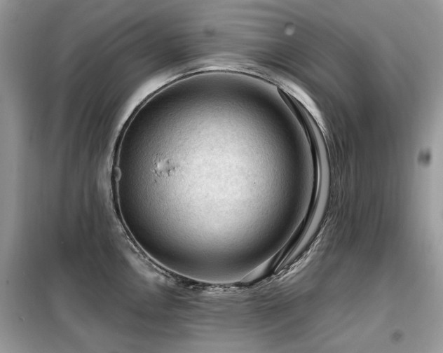 X0000099451146200805091500