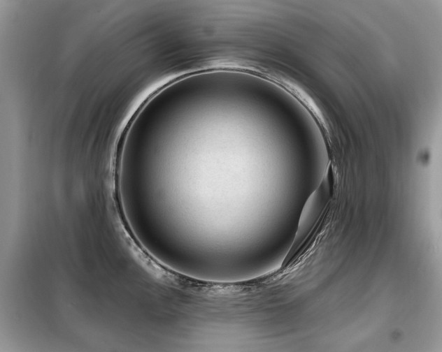 X0000099451148200805091500