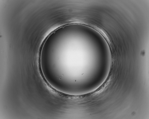 X0000099451149200805091500