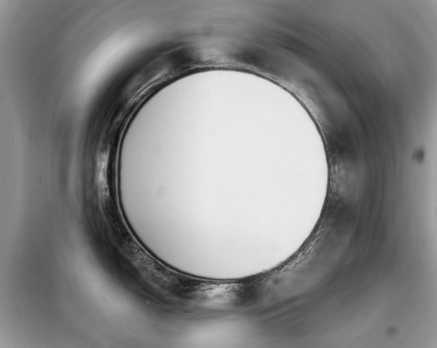 X0000099451150200805091500