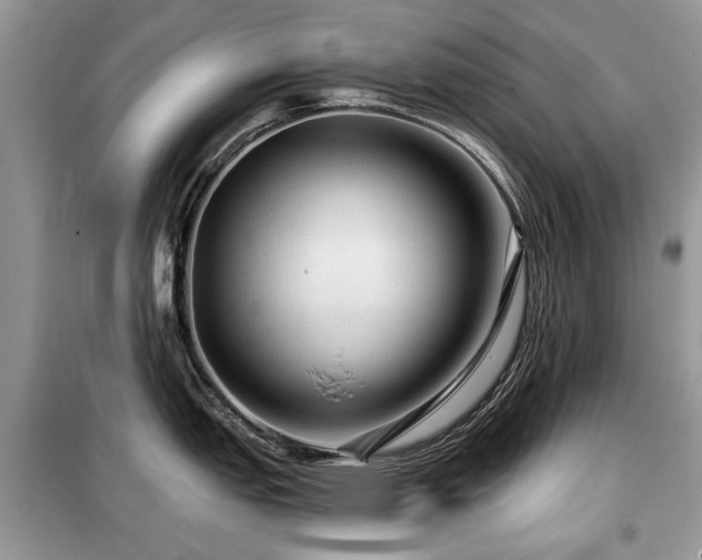 X0000099451151200805091500