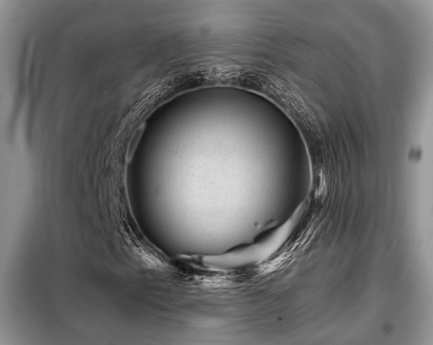 X0000099451153200805091500