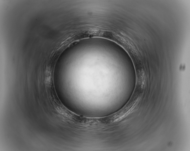 X0000099451154200805091500