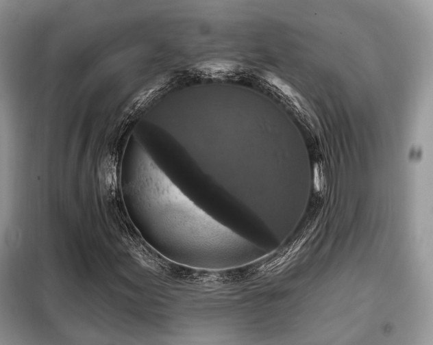 X0000099451155200805091500