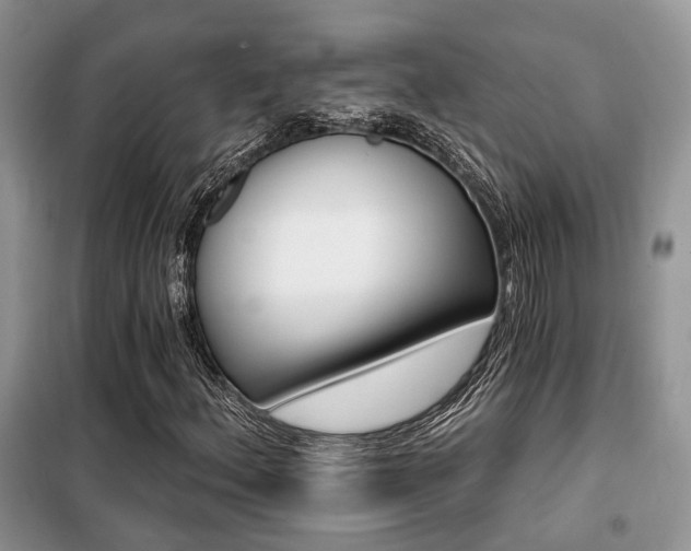 X0000099451156200805091500