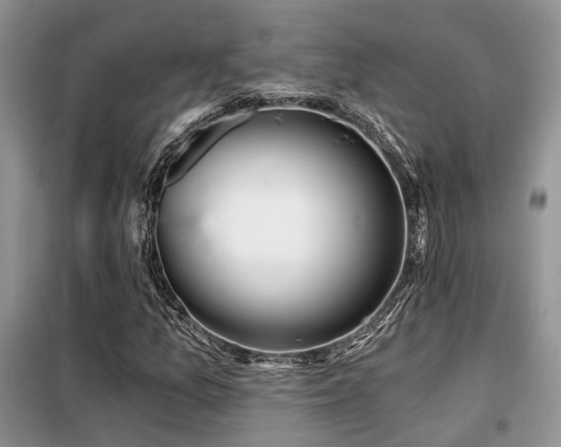 X0000099451157200805091459