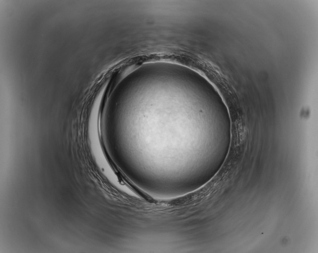 X0000099451158200805091459