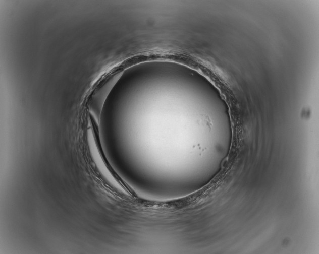 X0000099451160200805091459