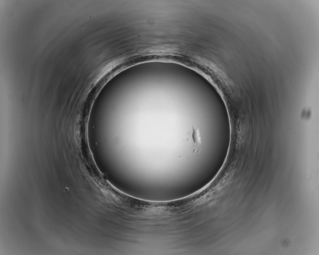 X0000099451162200805091459