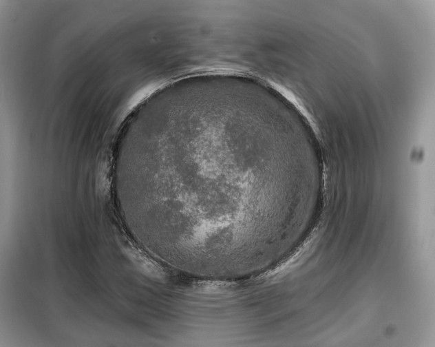 X0000099451163200805091459