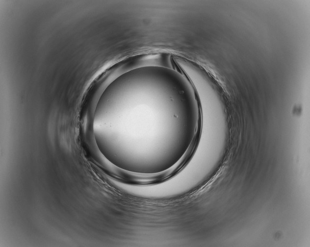 X0000099451165200805091459