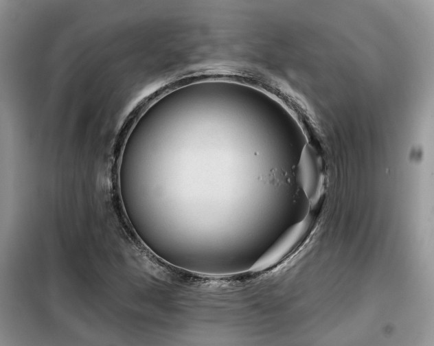 X0000099451166200805091459