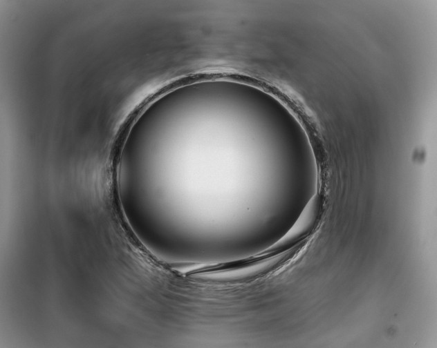 X0000099451167200805091459