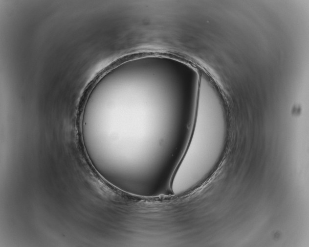 X0000099451168200805091459