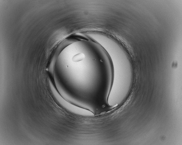 X0000099451169200805091459