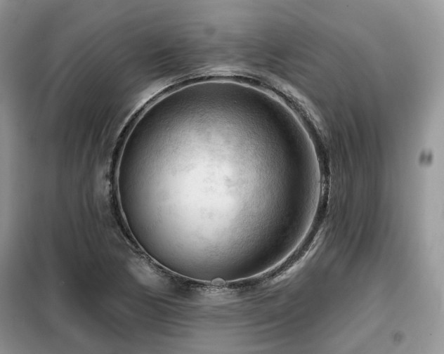X0000099451170200805091459