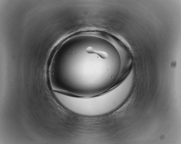 X0000099451173200805091459