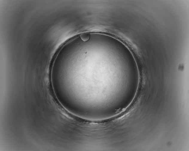 X0000099451174200805091459