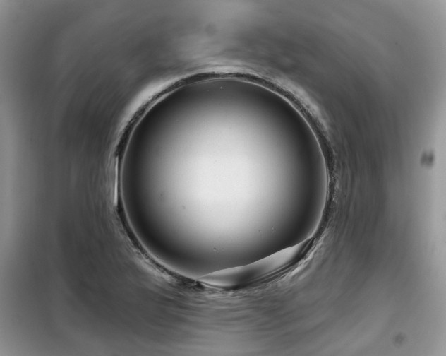 X0000099451175200805091459