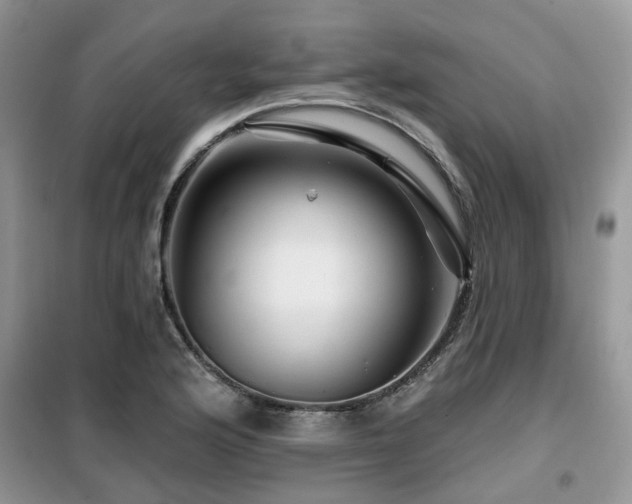 X0000099451176200805091459