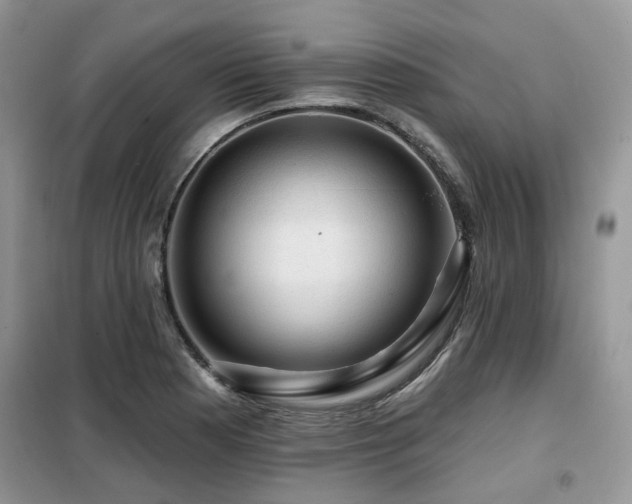 X0000099451177200805091459
