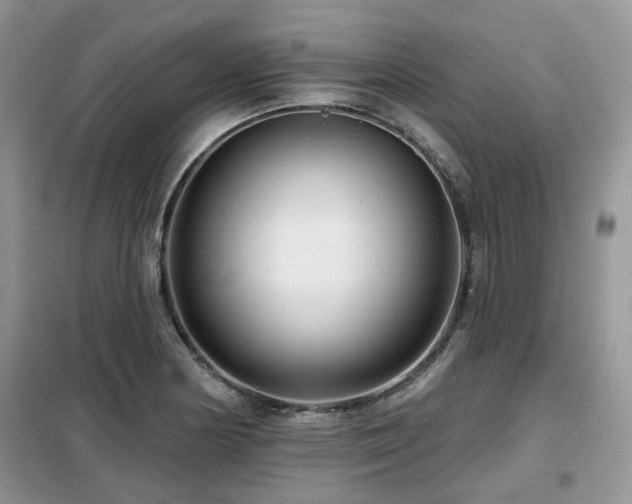 X0000099451178200805091459