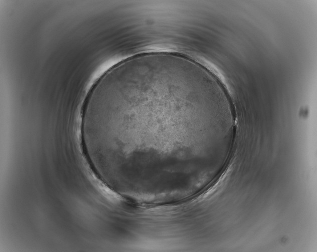 X0000099451179200805091459