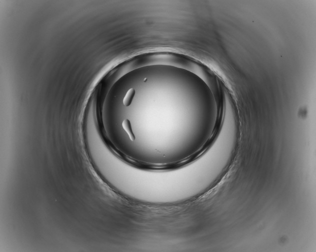 X0000099451181200805091459