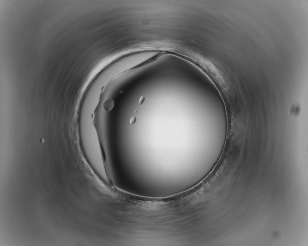 X0000099451184200805091459