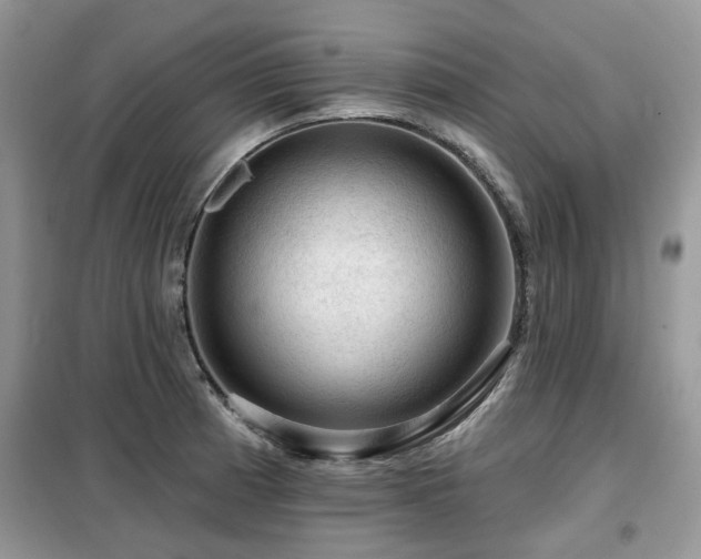 X0000099451185200805091459