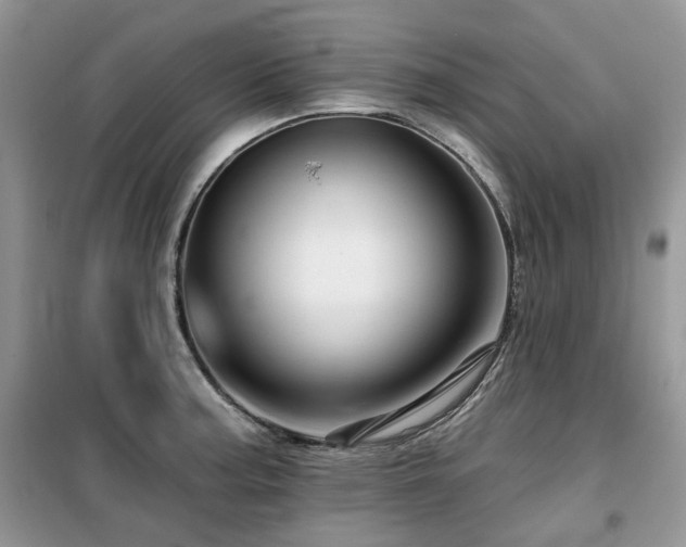 X0000099451187200805091459