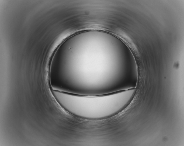 X0000099451188200805091459