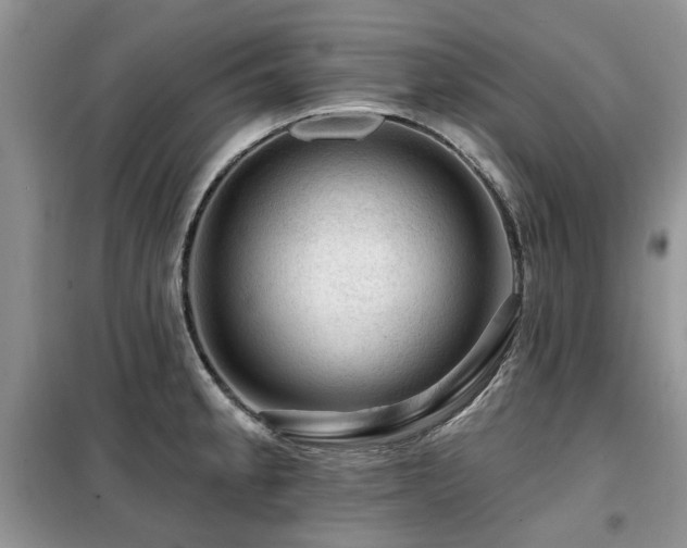 X0000099451189200805091459