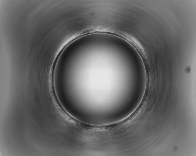 X0000099451190200805091459