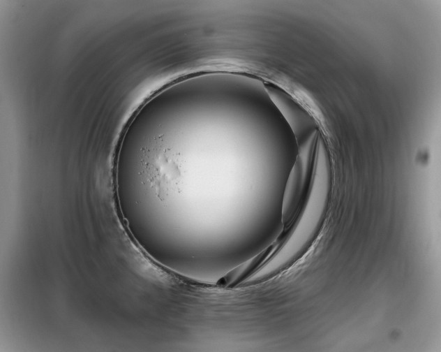 X0000099451192200805091459