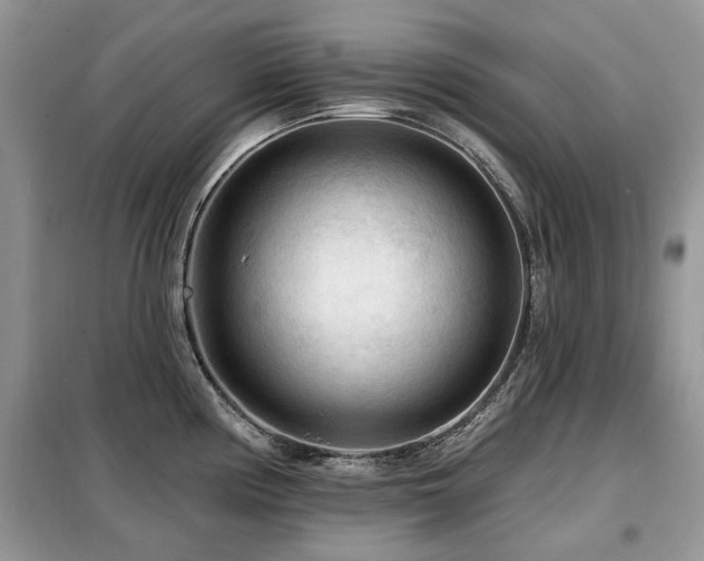 X0000099451194200805091459