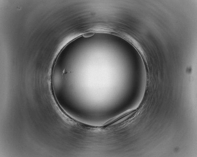 X0000099451195200805091459