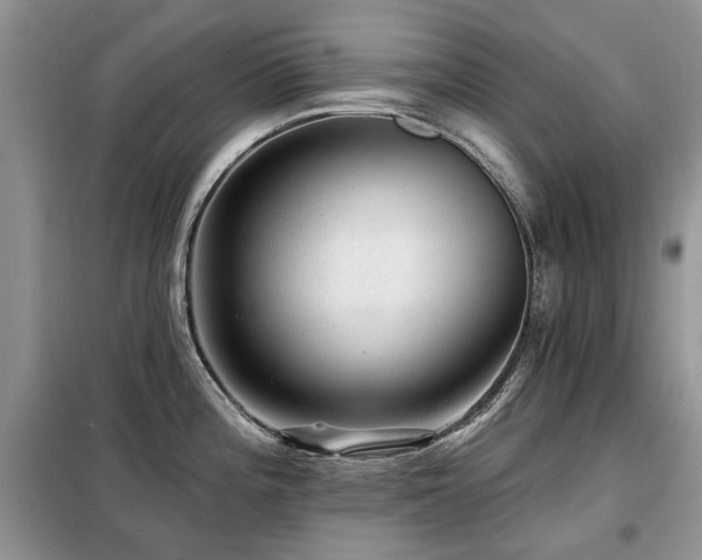X0000099451196200805091459