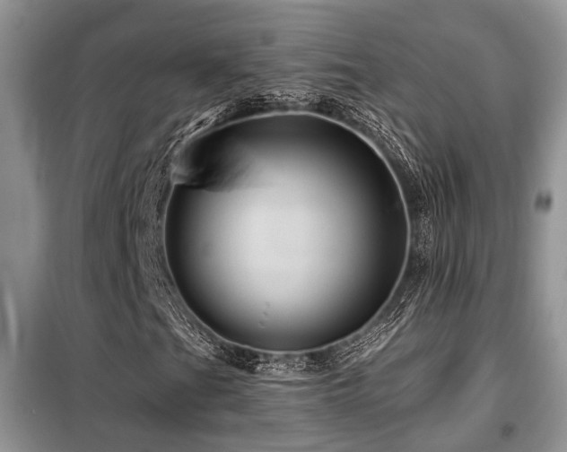 X0000099451201200805091458