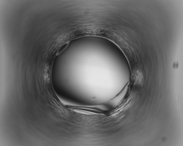 X0000099451202200805091458